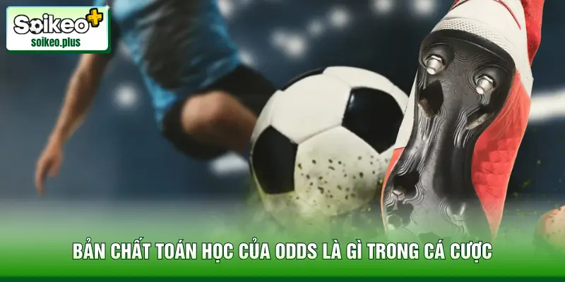 Bản chất toán học của Odds là gì trong cá cược