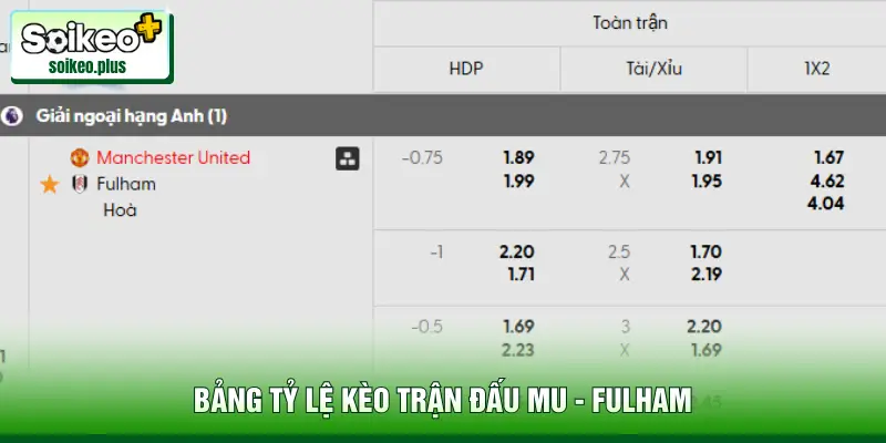Bảng tỷ lệ kèo trận đấu MU - Fulham