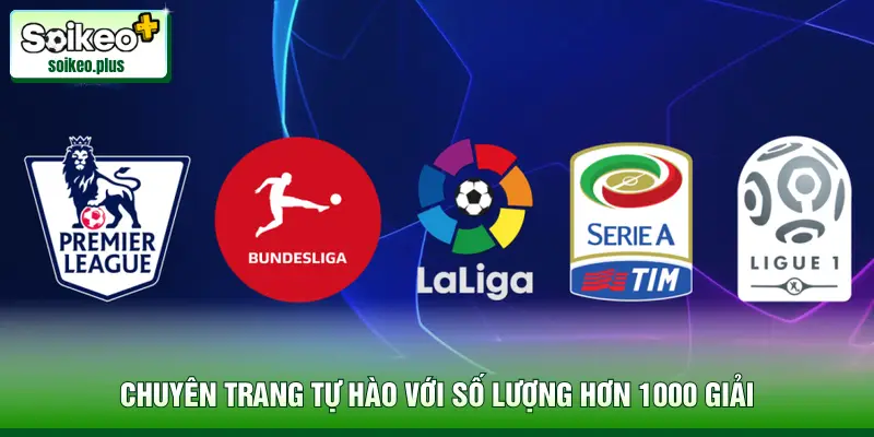 Chuyên trang tự hào với số lượng hơn 1000 giải