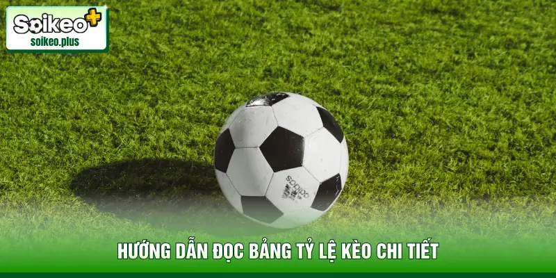 Hướng dẫn đọc bảng tỷ lệ kèo chi tiết