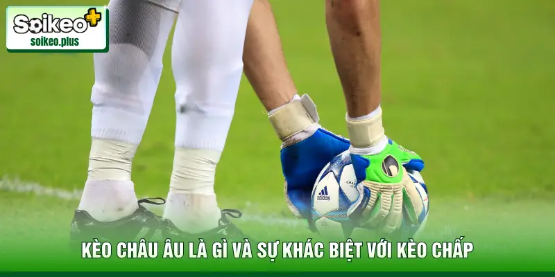 Kèo châu Âu là gì và sự khác biệt với kèo chấp