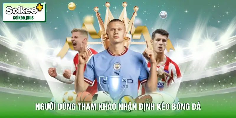 Người dùng tham khảo nhận định kèo bóng đá