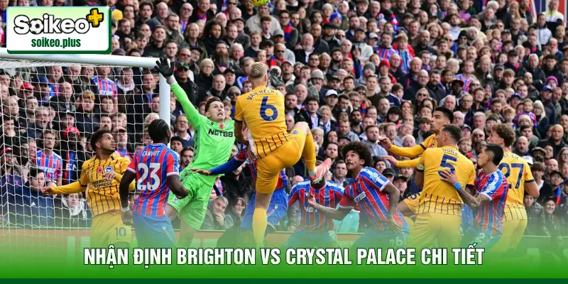 Nhận định Brighton vs Crystal Palace chi tiết