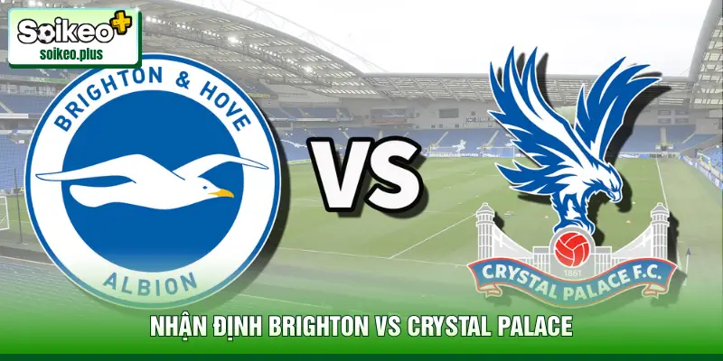 Nhận Định Brighton Vs Crystal Palace, 22h00 Ngày 08/02